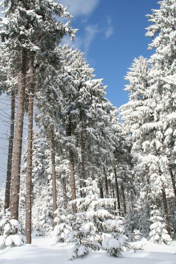 Landhaus Edelweiss Bed&Breakfast - Adults Only Нойщад-ам-Ренщайг Екстериор снимка